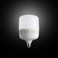 50W LED Torch Ampul
